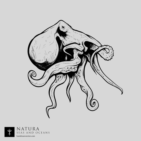 Octopus sea vector