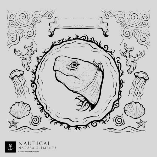 turtle nautical vector collection